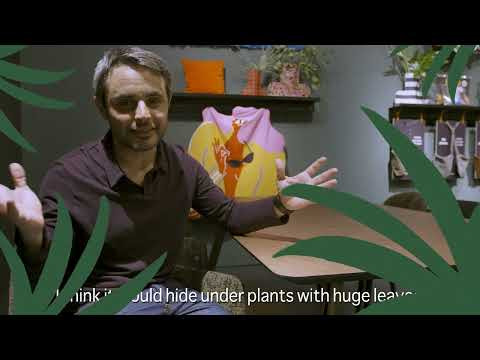 Tortuga Collection by Sancal