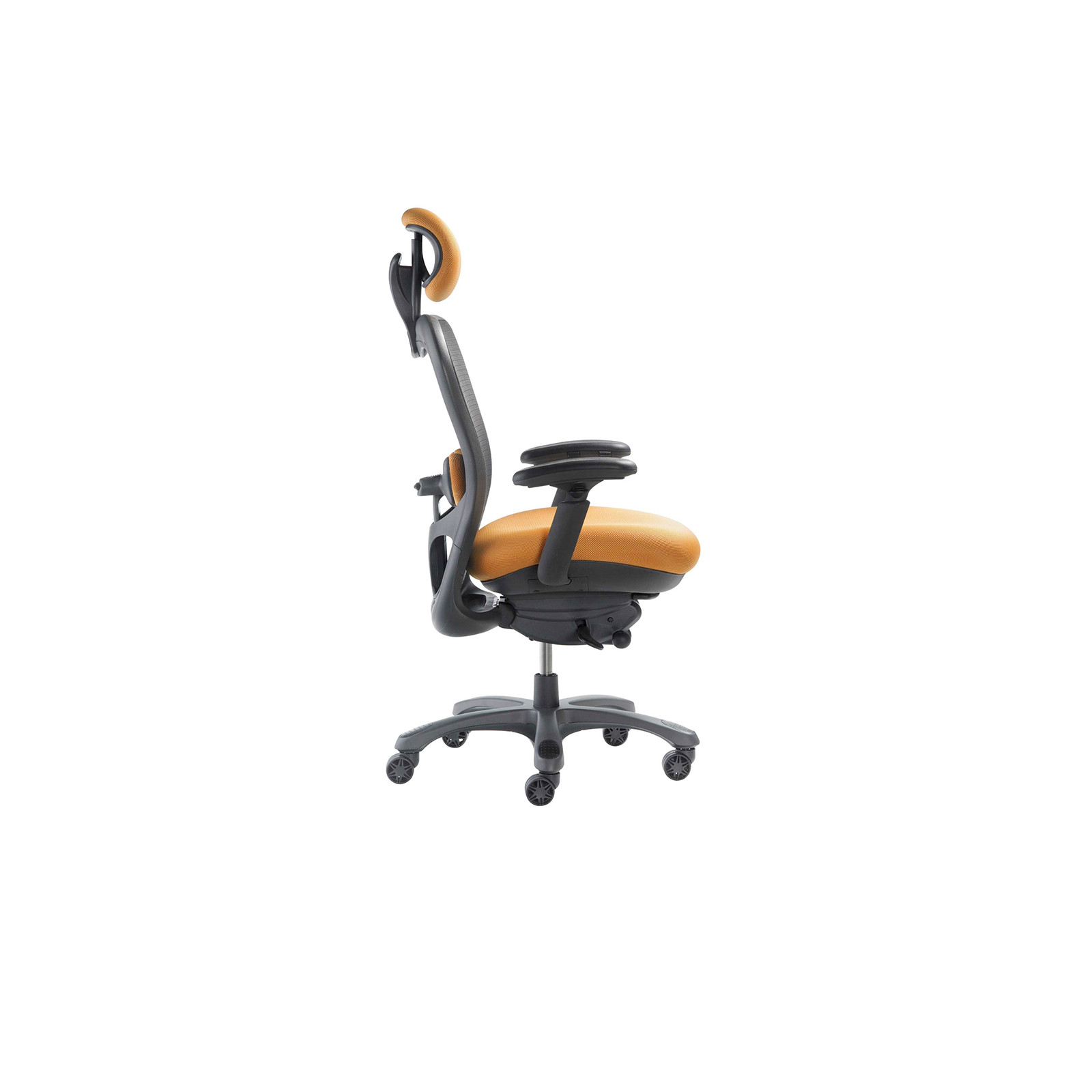 CXO OFFICE CHAIR