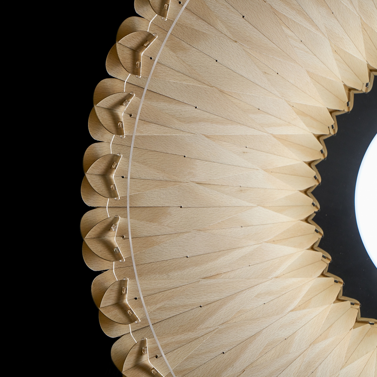 LOLA SUSPENSION LAMP