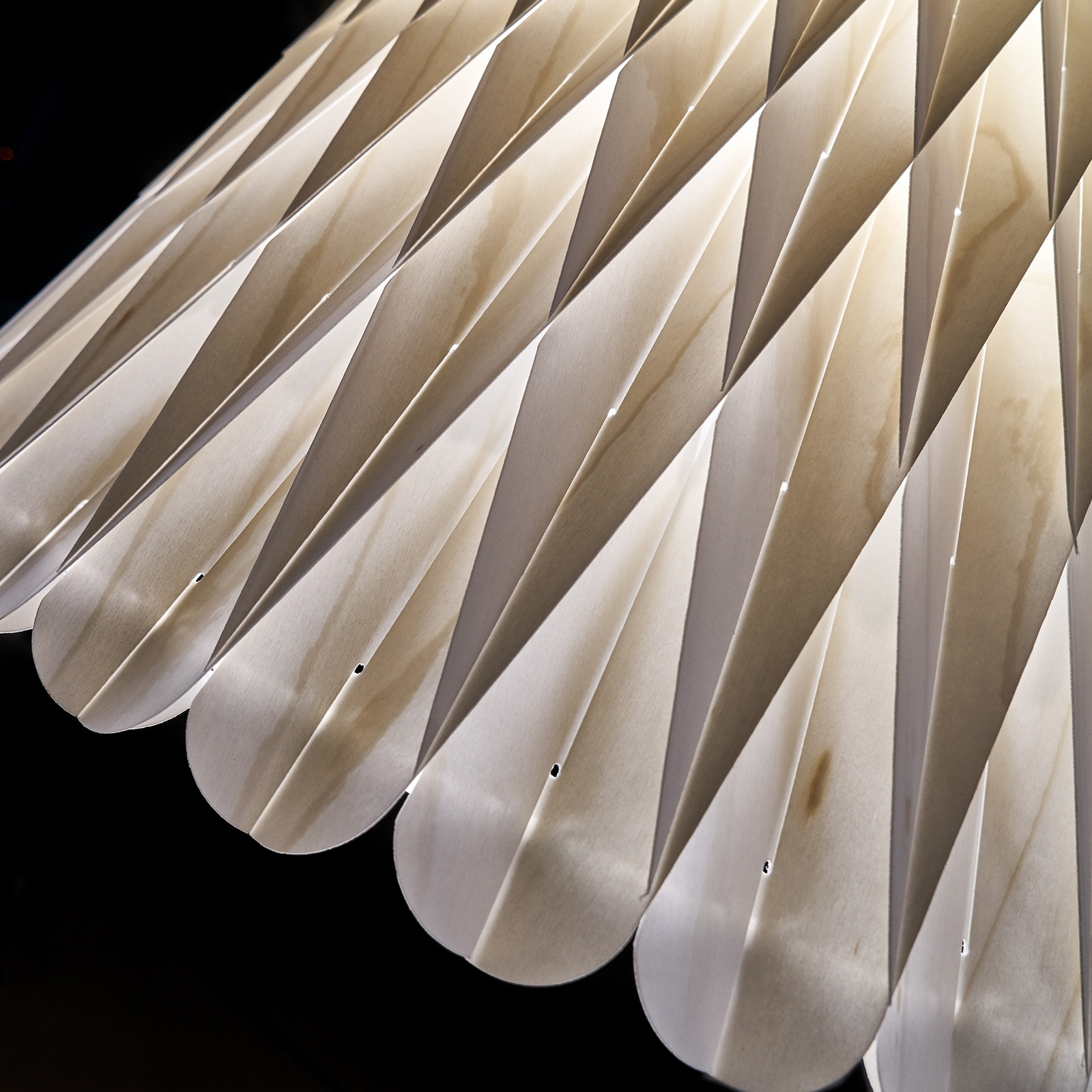 LOLA SUSPENSION LAMP