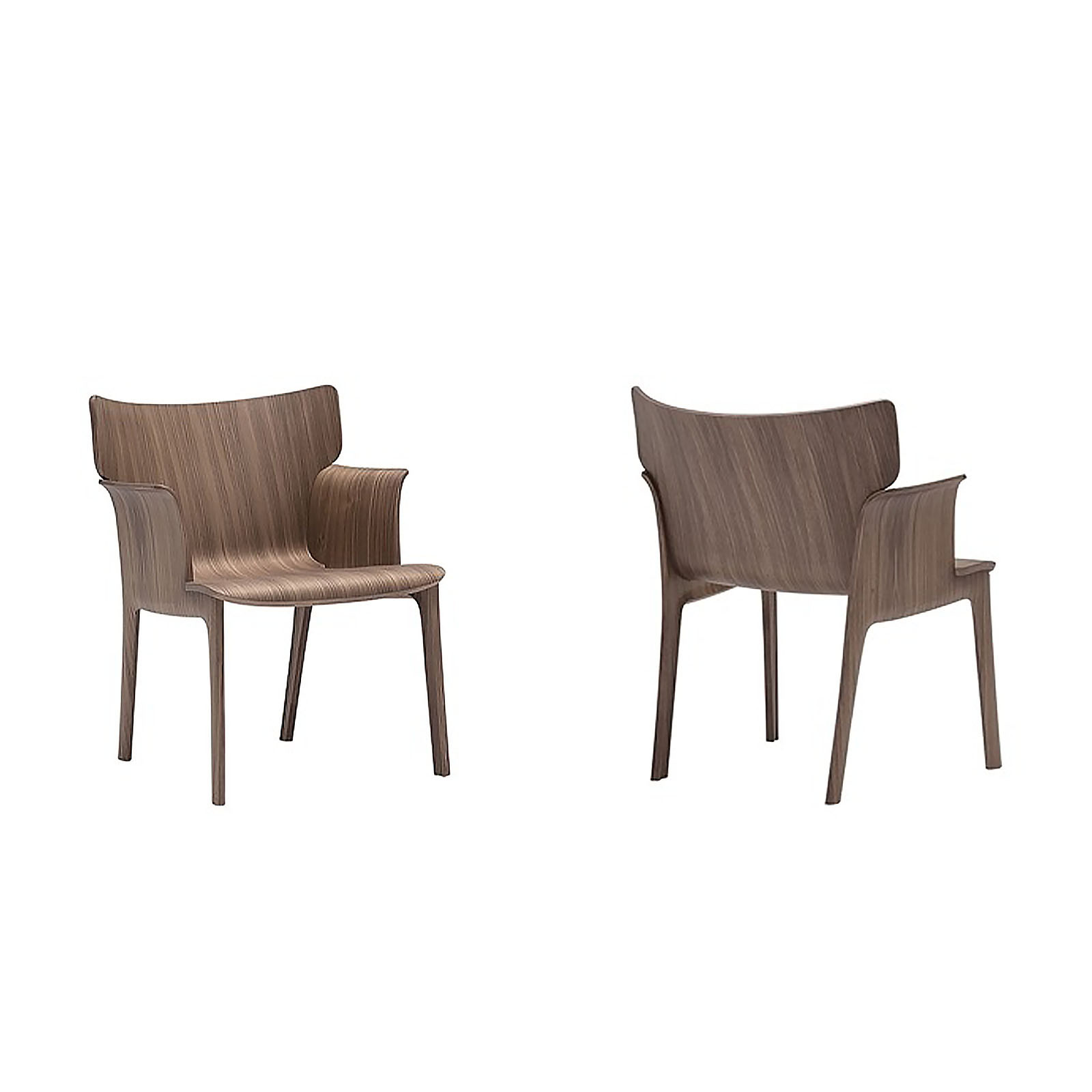 ADELA REX LOUNGE CHAIR