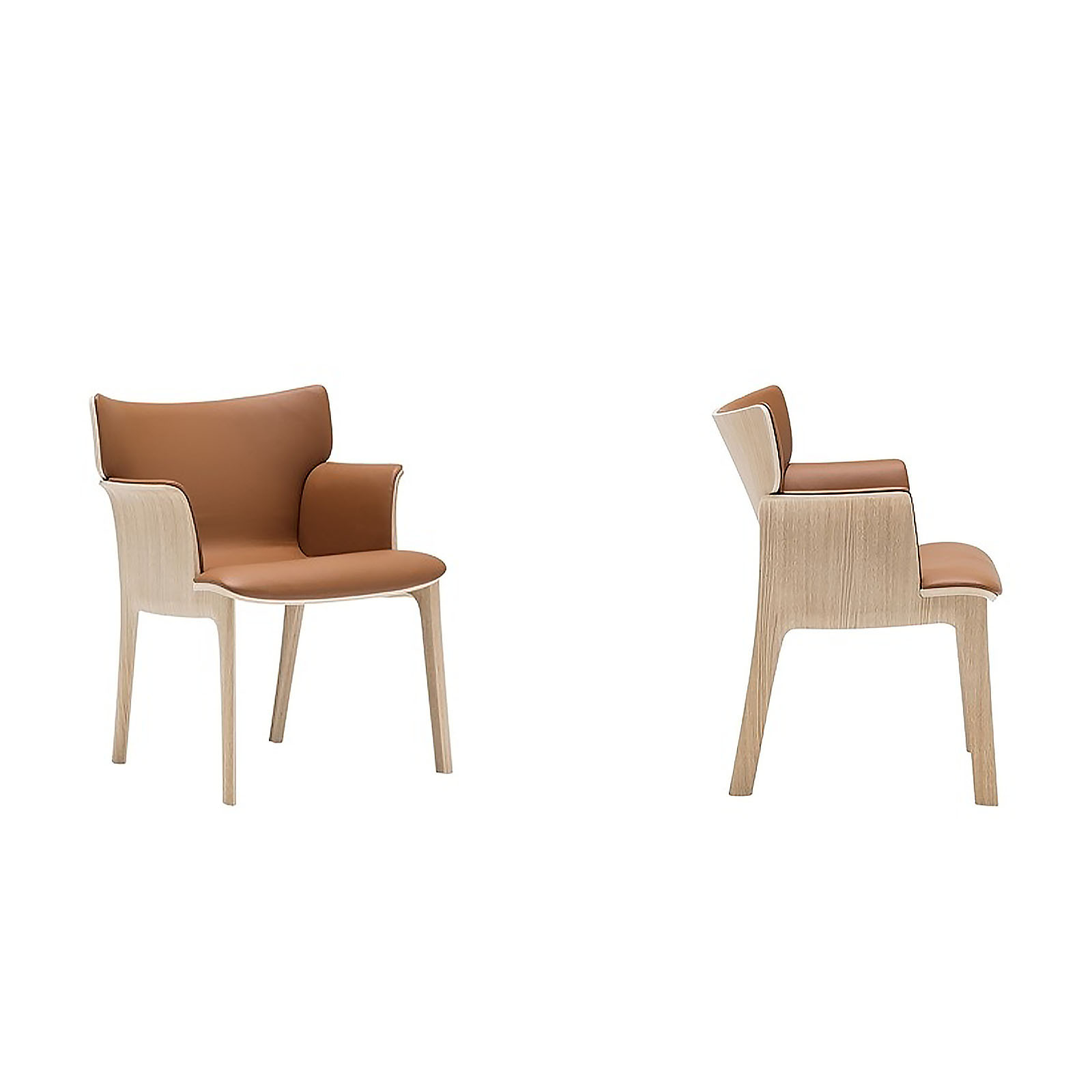 ADELA REX LOUNGE CHAIR