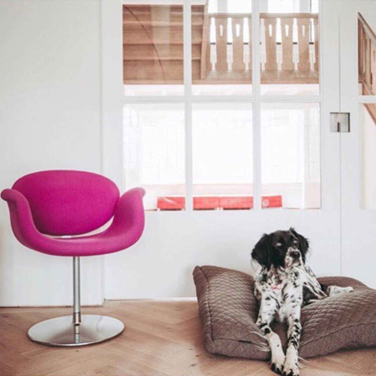 LITTLE TULIP ARMCHAIR