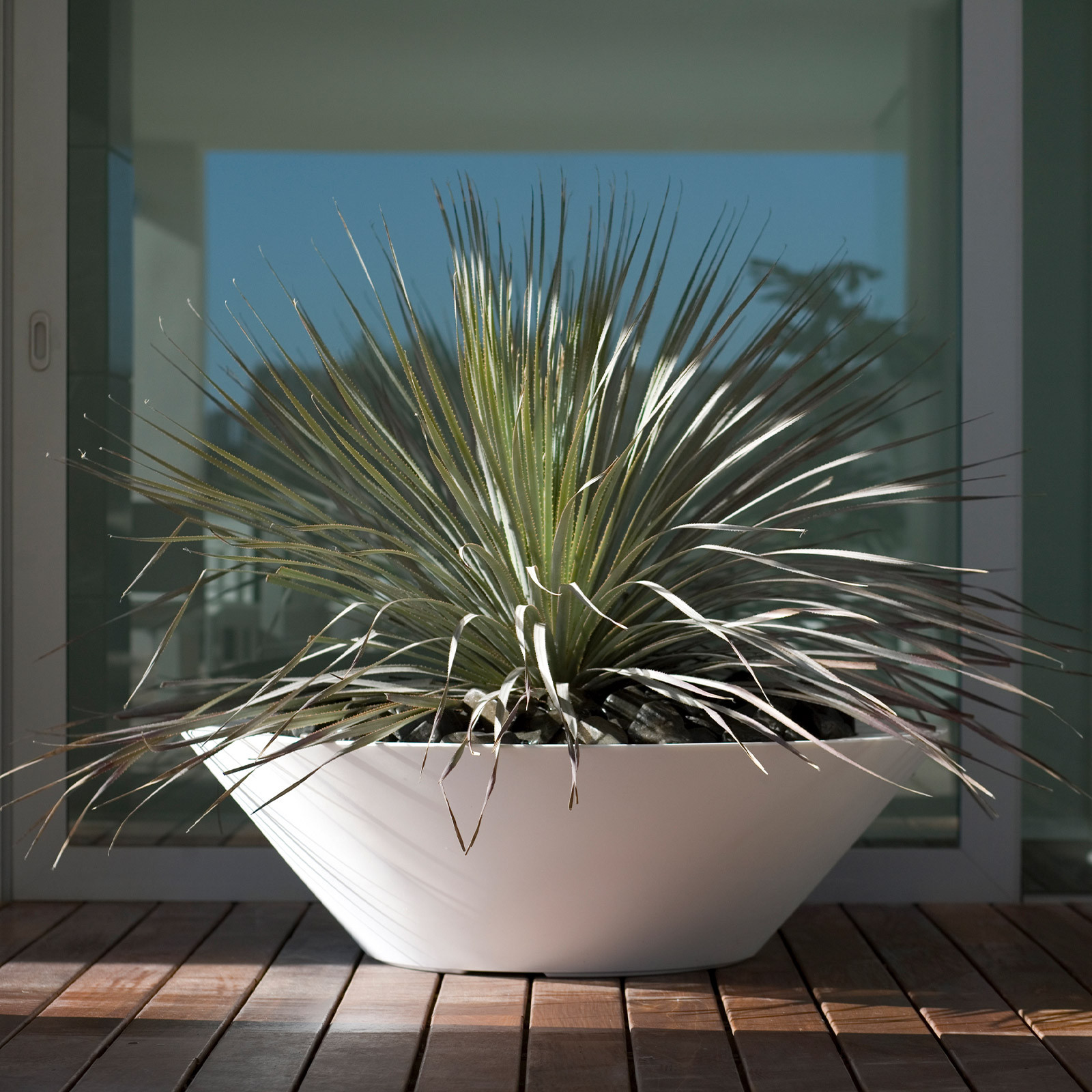 STUDIO PLANTER - CENTRO