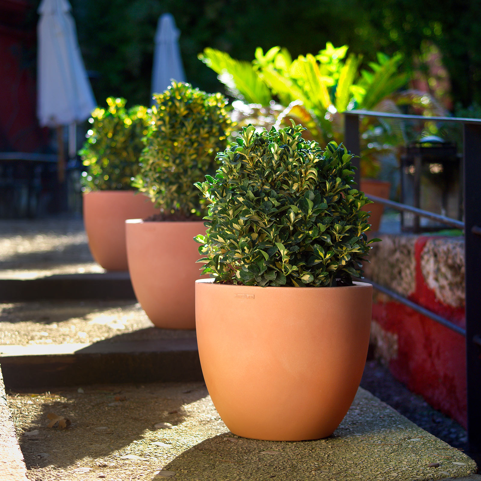 STUDIO PLANTER - CUENCO