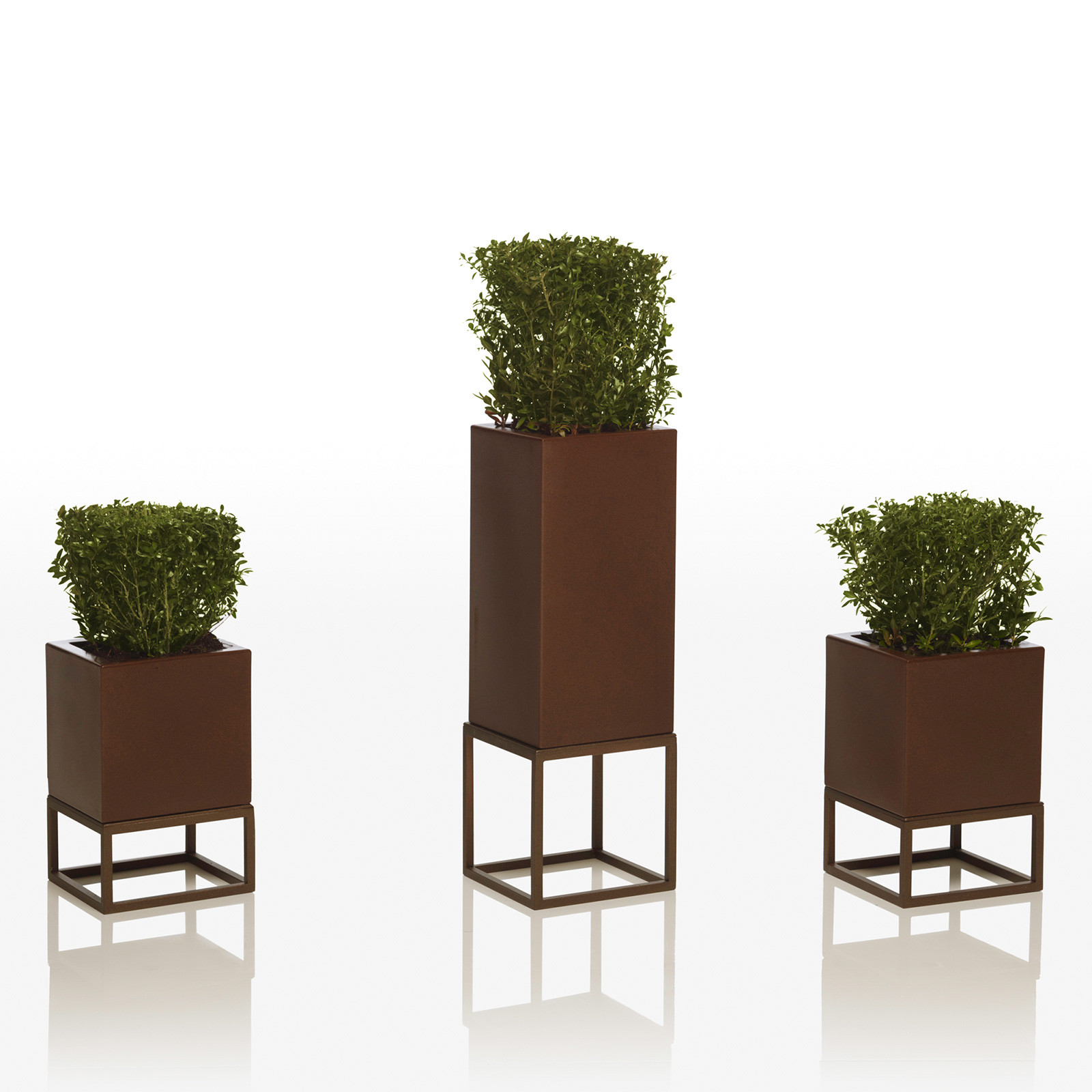 VELA PLANTER