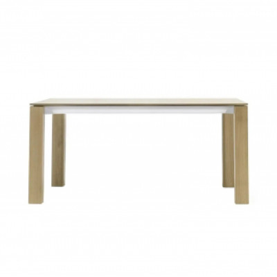 EXTRA CONFERENCE TABLE