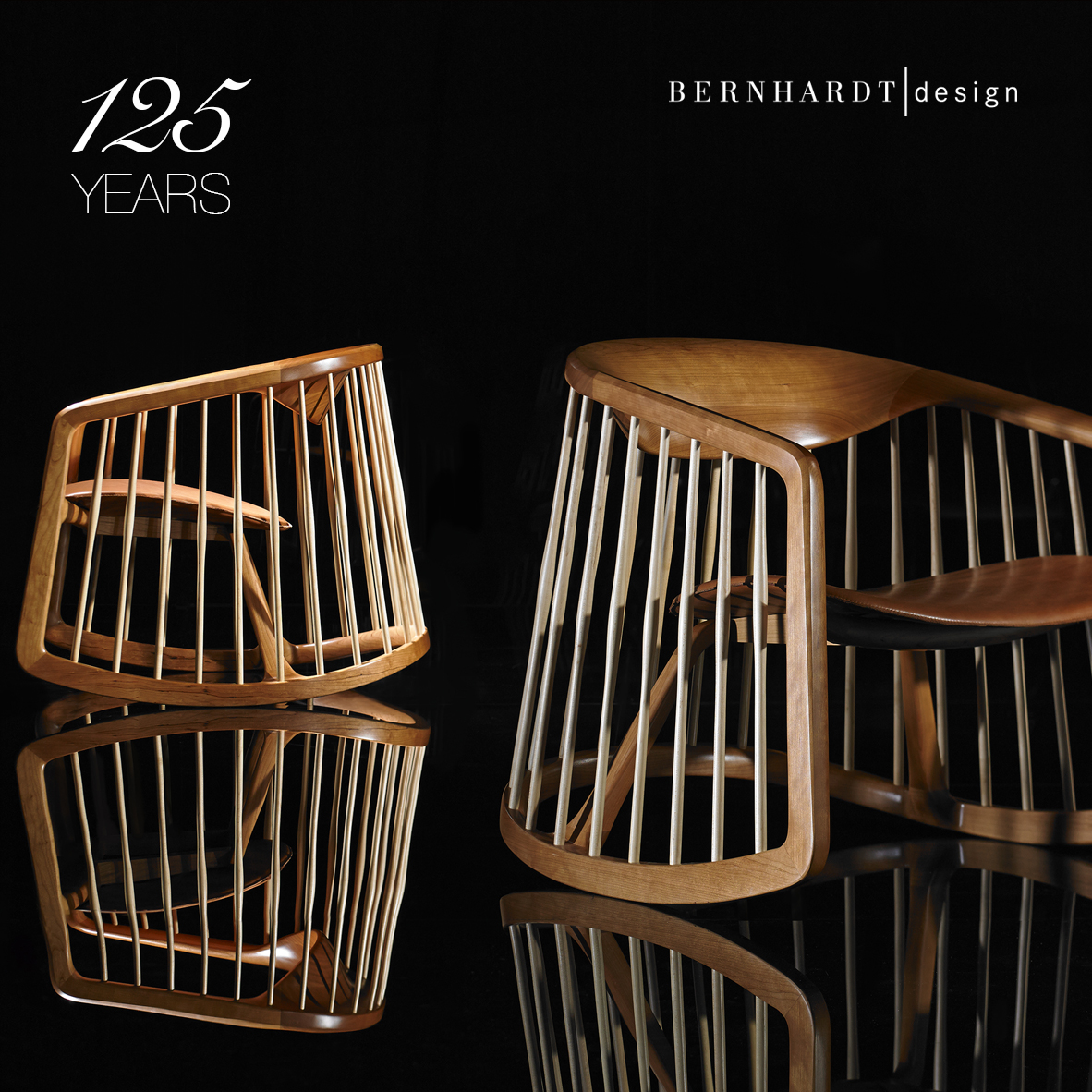 BERNHARDT CAMPAIGN