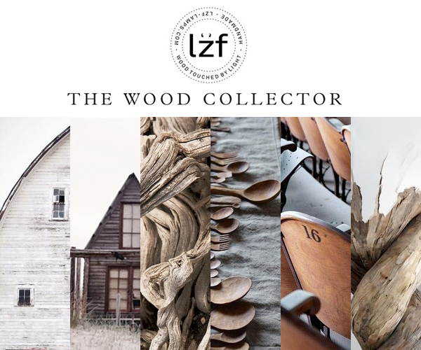 The Wood Collector ...